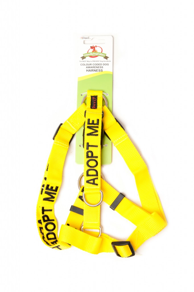 adopt me harness