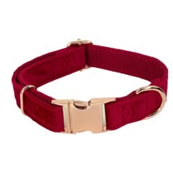 Hanz and Oley- Velvet Collar Red Rose