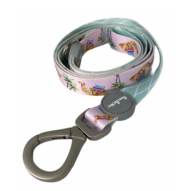 camelia-candy-leash-1.jpg