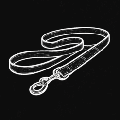 Leash
