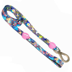 Unicorn Forest Leash