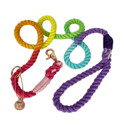 Unicorn Love Ombre Rope Leash 5ft
